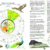Uitverkocht: Maya Luna Kalender Gebroken Wit - Afbeelding 2